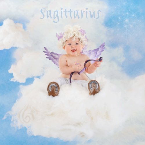 baby sagittarius 2